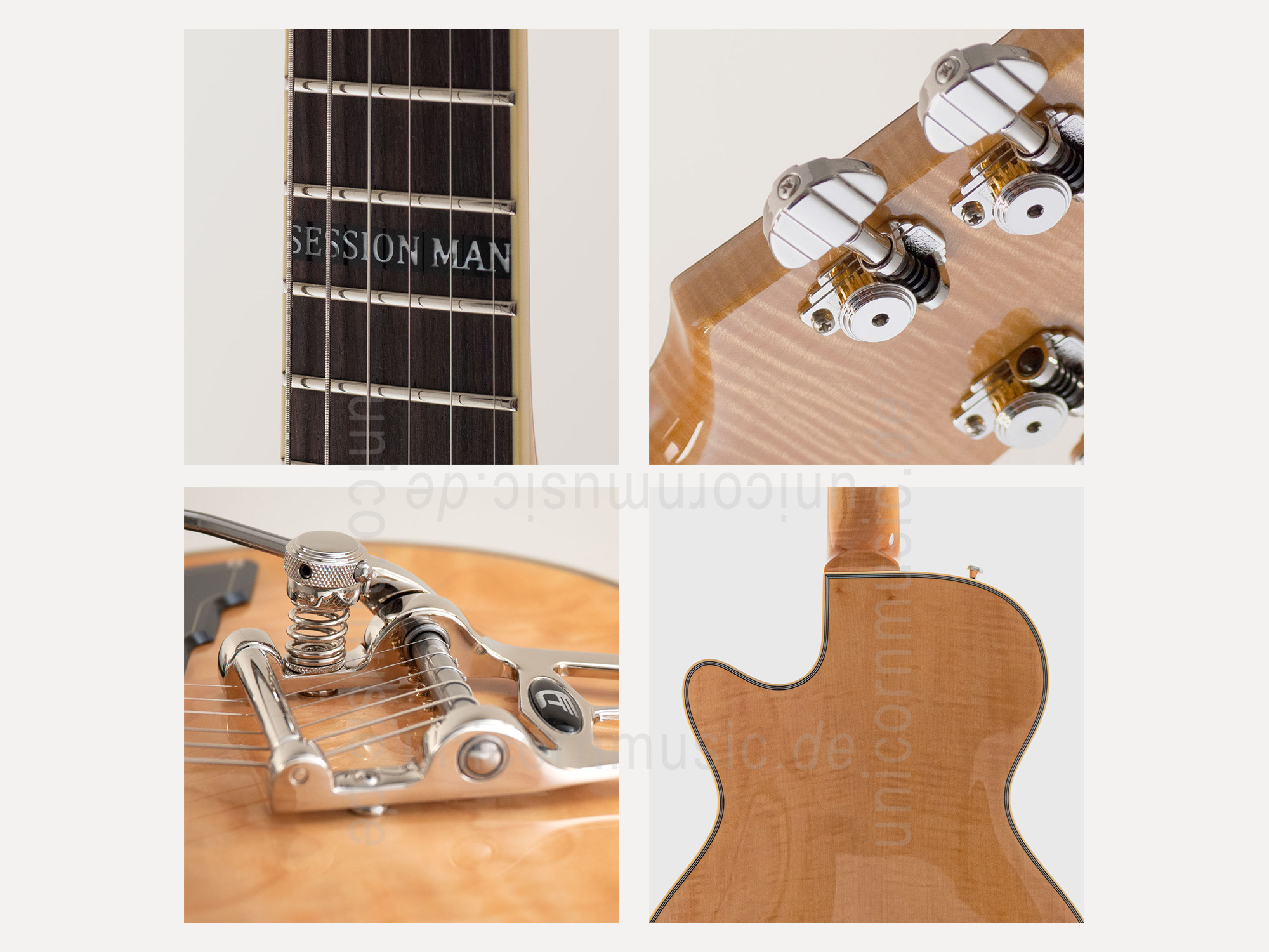 to article description / price Electric Guitar DUESENBERG - Alliance Series Tom Bukovac - Session Man + Premium Line Case