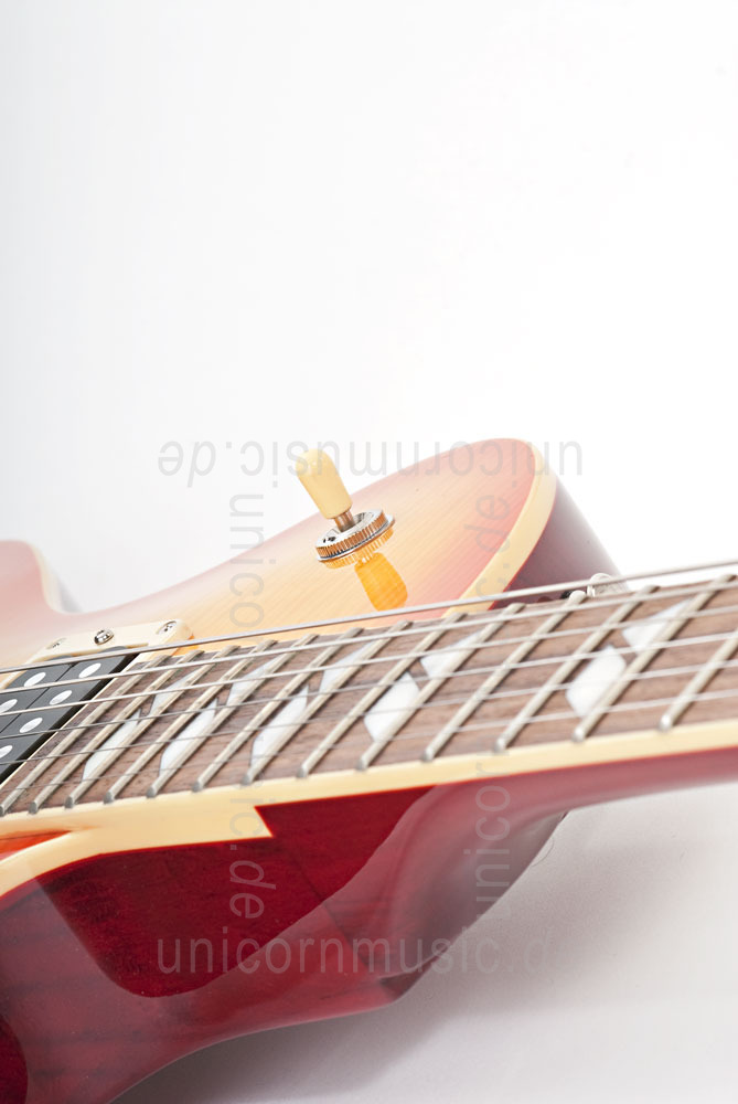 to article description / price Electric Guitar FERNANDES RAVELLE ELITE - Honeyburst - Sustainer + Case