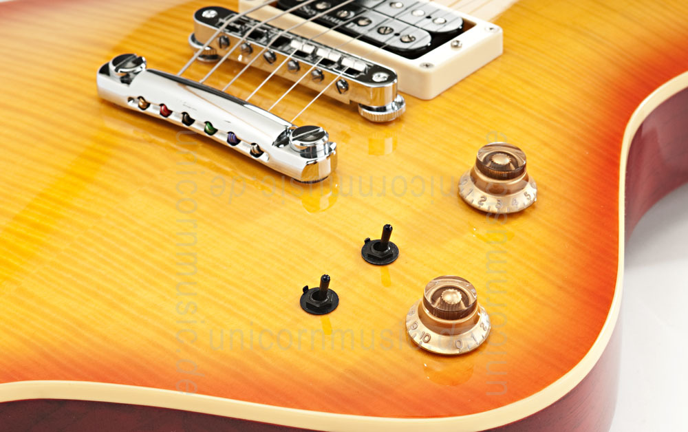 to article description / price Electric Guitar FERNANDES RAVELLE ELITE - Honeyburst - Sustainer + Case