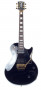 det-burny-les-paul-rlc85s-bk-front.jpg