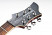 fernandes-ravelle-elite-stg-head.jpg