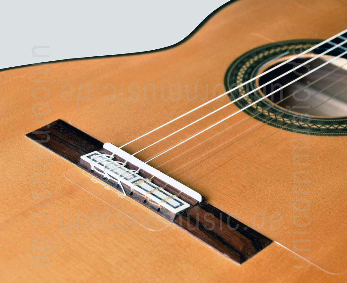 to article description / price Spanish Flamenco Master Guitar - CAMPS CONCIERTO AMAZONAS - all solid - spruce top  + case