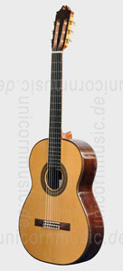Large view Spanish Flamenco Master Guitar - CAMPS CONCIERTO AMAZONAS - all solid - spruce top  + case