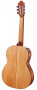 camps-m5-s-back.jpg