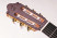 camps-m5-s-headstock.jpg