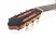 camps-primera-cypress-headstock.jpg