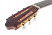 camps-primera-negra-headstock.jpg