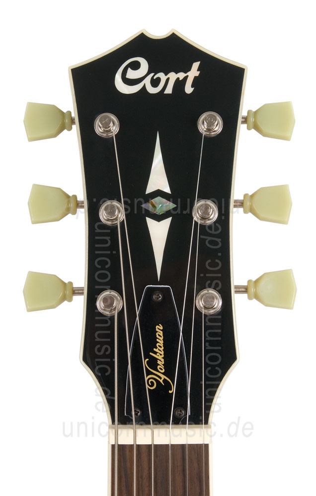 to article description / price Semi-Resonance Archtop Jazz Guitar CORT SOURCE Tobacco Burst + gigbag