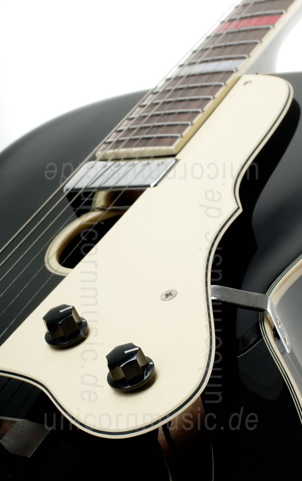 to article description / price Full-Resonance Archtop Jazz Guitar HOYER - DRESSED GENTLEMAN