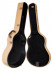 guitar-case-hoefner-3052-open.jpg