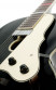 hoyer-dressed-gentleman-pickguard.jpg