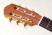 aranjuez-a4-z-58-headstock.jpg