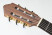proarte-gc-100-2-headstock.jpg