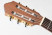 proarte-gc50-2-1_2-headstock.jpg