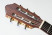 proarte-gc75-2-headstock.jpg