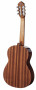toledo-58-z-back.jpg