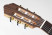 toledo-61-z-headstock.jpg