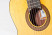 aranjuez-a4-spruce-top.jpg