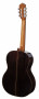 aranjuez-a7-spruce-back.jpg