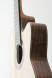 cashimira-130-cutaway-thinline-spruce-sides.jpg