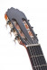 cashimira-56e-headstock.jpg