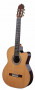 det-cashimira-130-cutaway-cedar-set.jpg