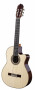 det-cashimira-130-cutaway-spruce-set.jpg