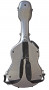 guitar-case-eastman-cagt-silver-back.jpg