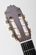 sanchis-lopez-1-extra-concierto-headstock-2.jpg