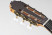 sanchis-lopez-1-extra-concierto-headstock.jpg