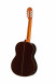 valdez-28-spruce-back.jpg