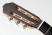 valdez-e-spruce-headstock.jpg