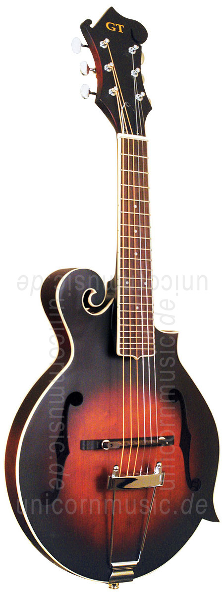 to article description / price Mando Guitar GOLD TONE F6 - F Style - pickup - case