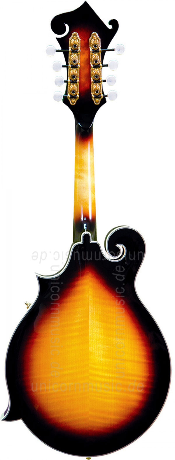 to article description / price Mandolin GOLD TONE GM 70+ - F Style - pickup - all solid + hardcase