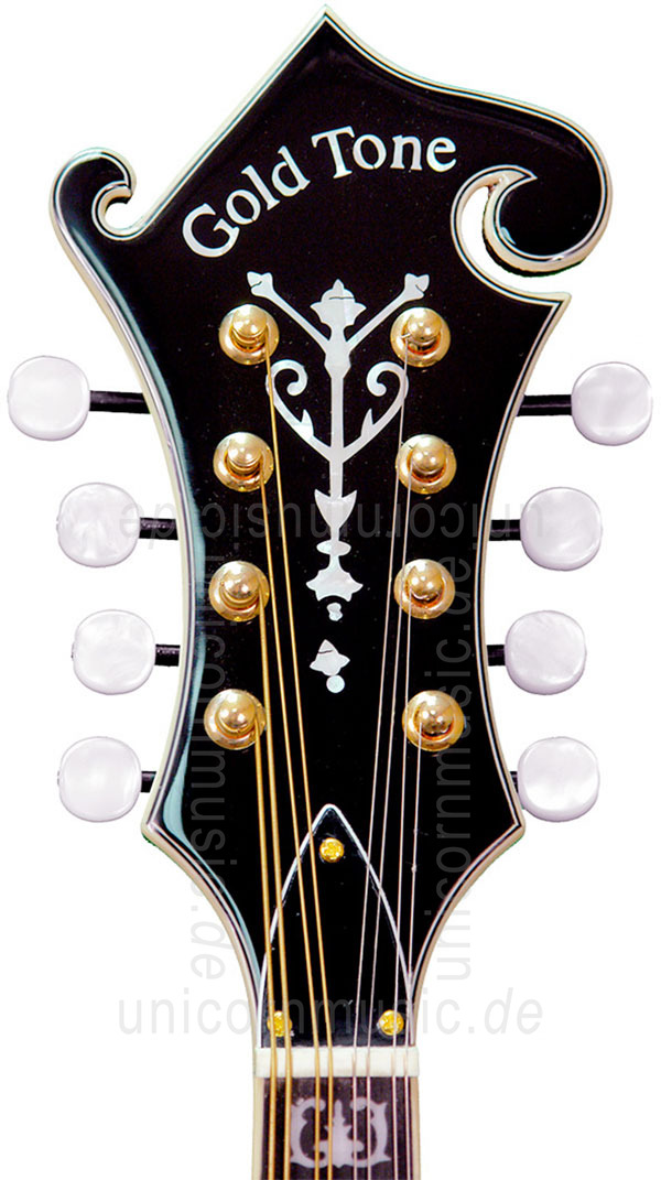 to article description / price Mandolin GOLD TONE GM 70+ - F Style - pickup - all solid + hardcase