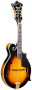 det-gold-tone-gm-70plus-f-sytle-mandolin-front.jpg