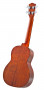 moana-tenor-tk55kdxg-back.jpg