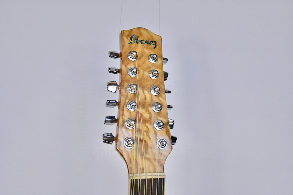 to article description / price Ibanez EW2012ASE 12 String