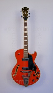 Large view Ibanez-AGR-63T