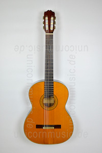 Large view Takemine 20