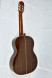 239-Takamine-20-Back_3.jpg