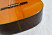 239-Takamine-20-Body.jpg