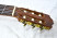 239-Takamine-20-Headstock.jpg