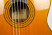 239-Takamine-20-label.jpg