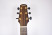 300-Walden-G2070-headstock.jpg