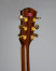 472-farida-d62-headstock2.jpg