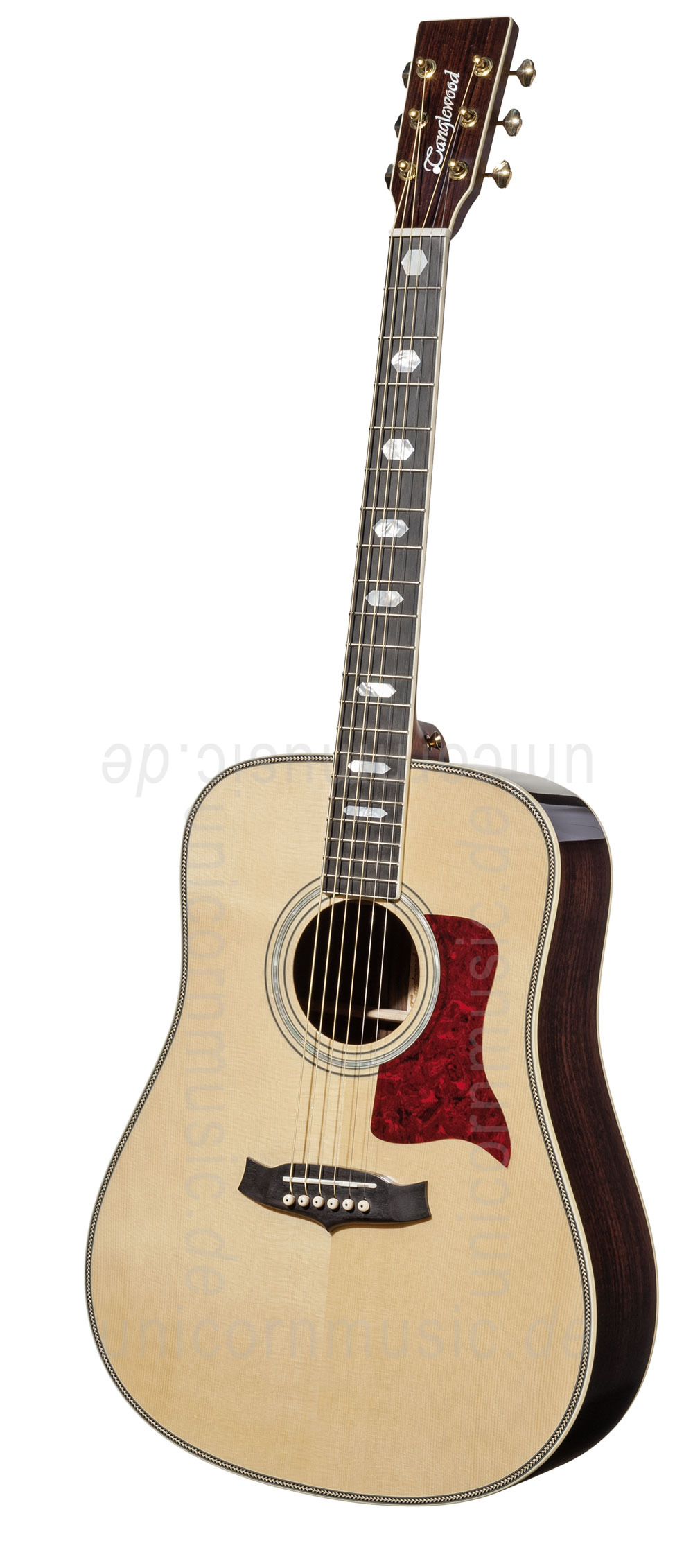 to article description / price Acoustic Guitar TANGLEWOOD TW1000/H SR - Heritage Series - Dreadnought - all solid + Hardcase