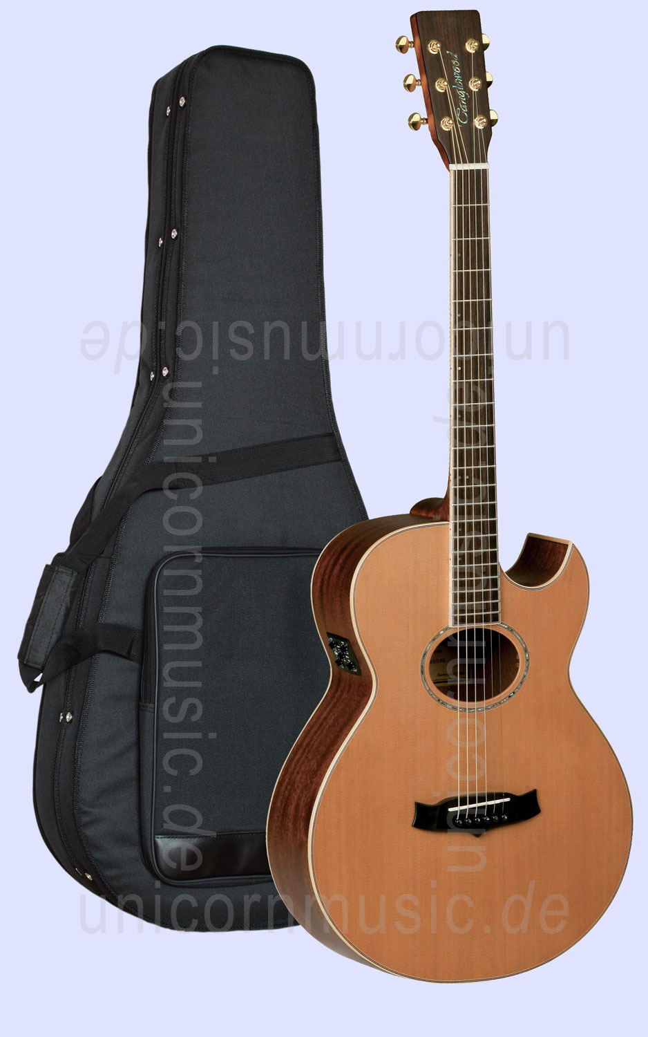 to article description / price Acoustic Guitar TANGLEWOOD TW45/FLM B - B-Band - Sundance Series - B-Band - Super Folk - Electro Cut. - all solid