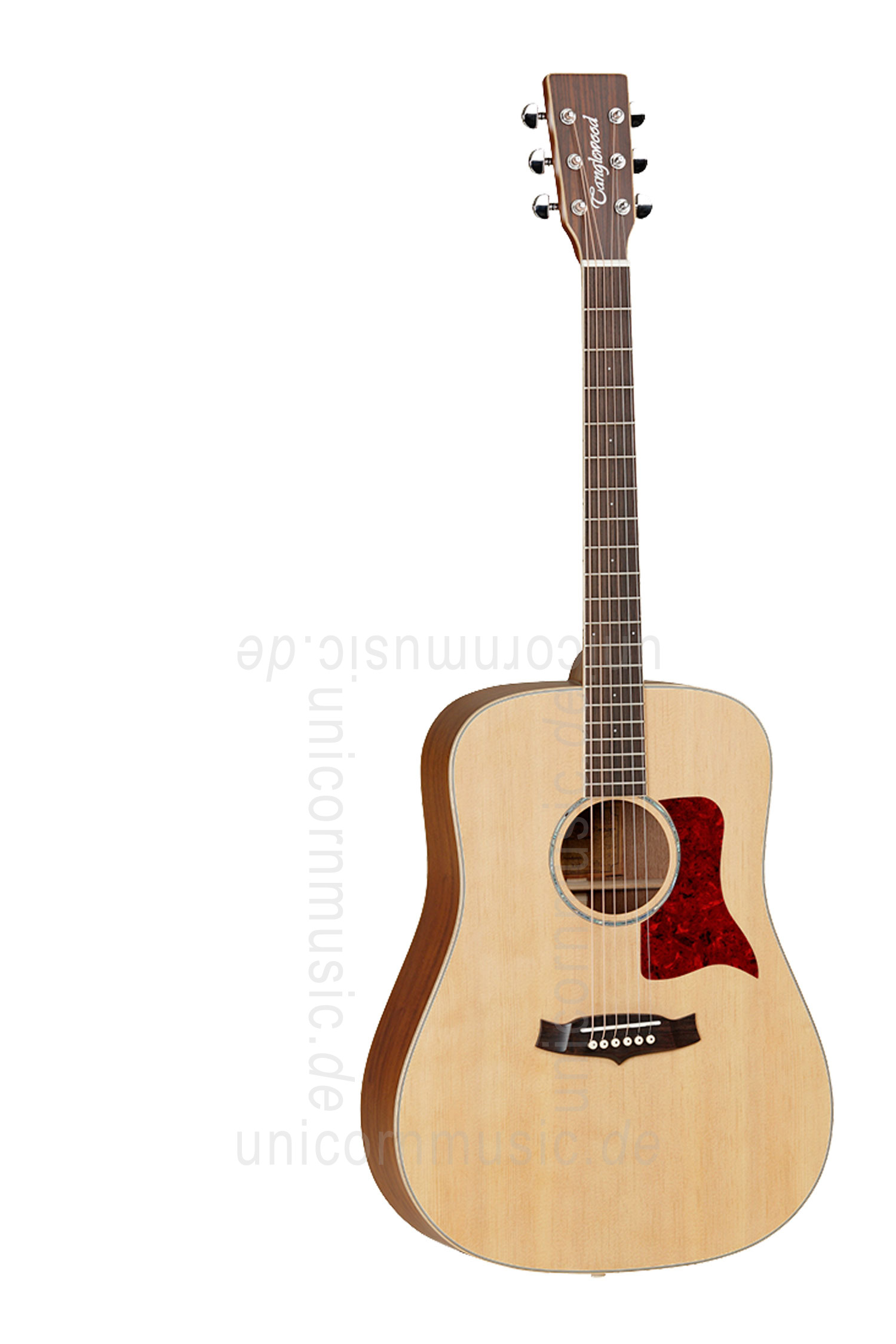 to article description / price Acoustic Guitar TANGLEWOOD X15 NS - Sundance Series - Dreadnought - all solid