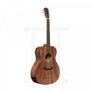 Large view Acoustic Guitar JAMES NELIGAN Dov ACFI + Fishman Pickup - solid mahogany top